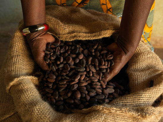 A person with their hands in a bag of cocoa beans