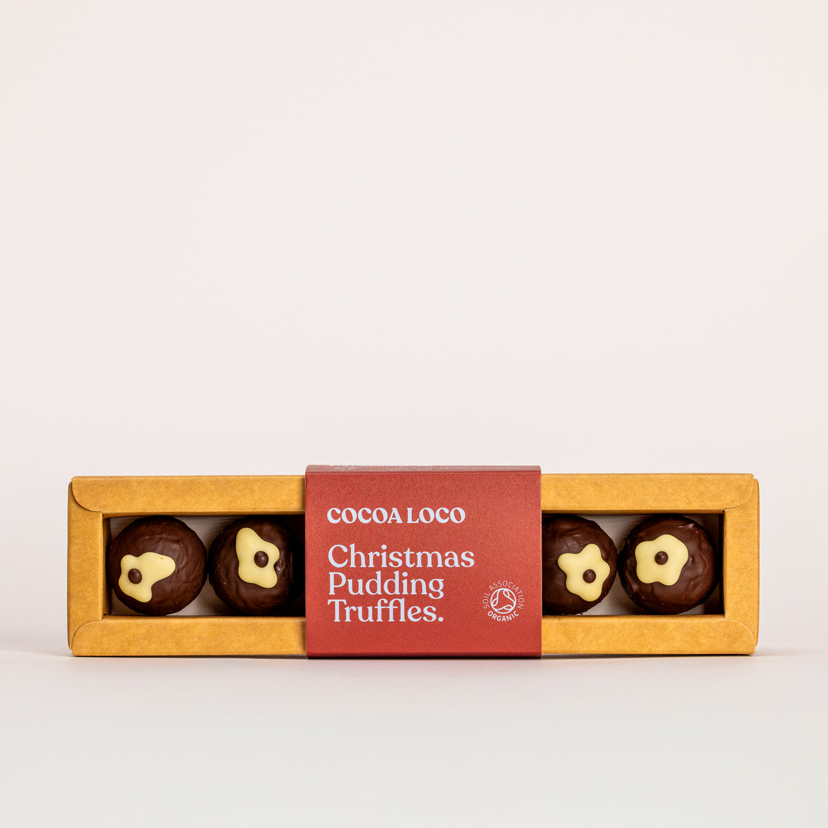 Christmas Pudding Truffles